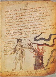 A Herdsman Burning Antlers to Banish Serpents, from the Theriaca of Nicander of Colophon